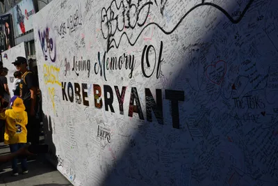 DSC_7113 (Large).JPG